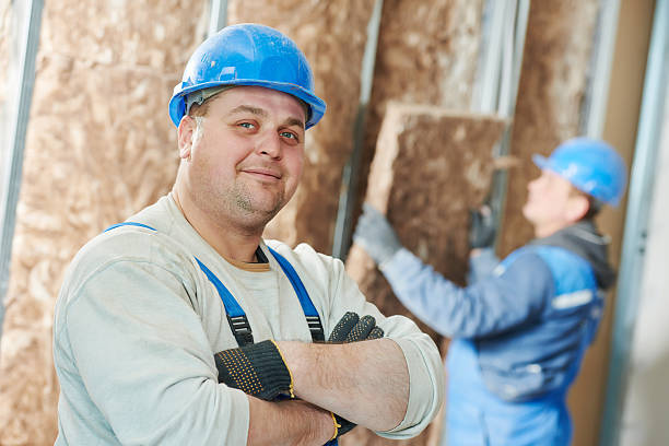 Best Insulation Maintenance and Repair in Hancock, MD